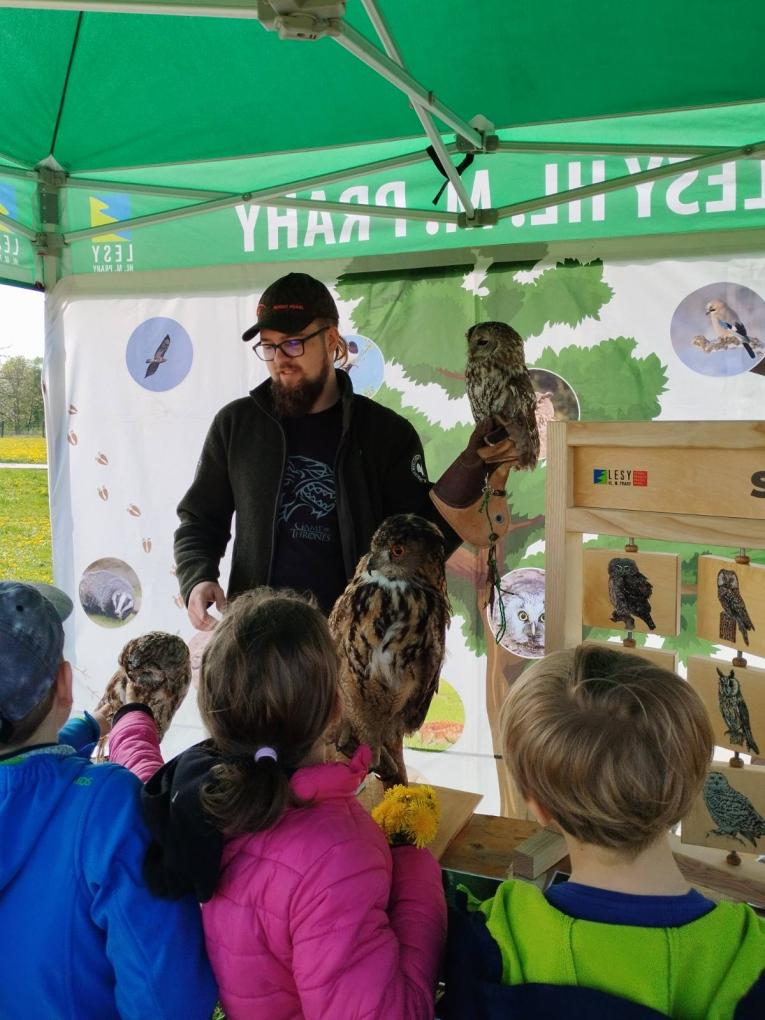 Den ptactva - 1.&nbsp;C