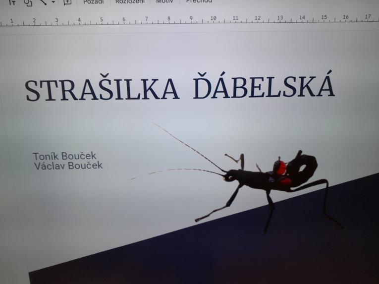 Strašilky ve&nbsp;škole